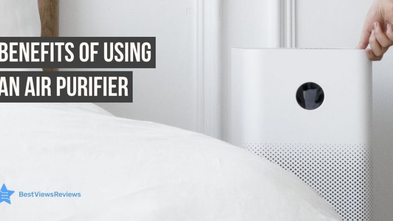 Benefits of Using an Air Purifier